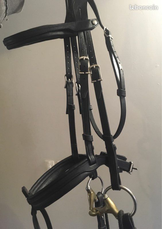 Bridon + Rênes Antares (image 2)
