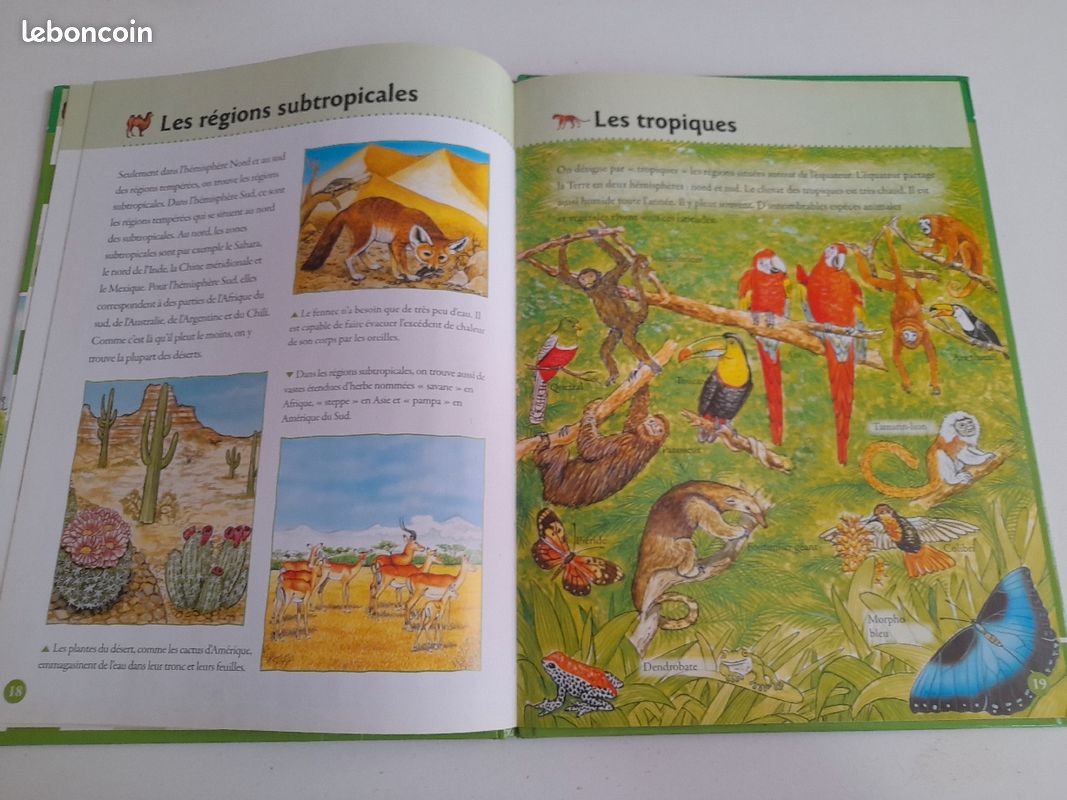 Livre pour enfants (image 5)