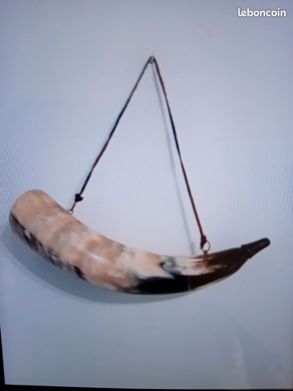 Corne de chasse (image 3)