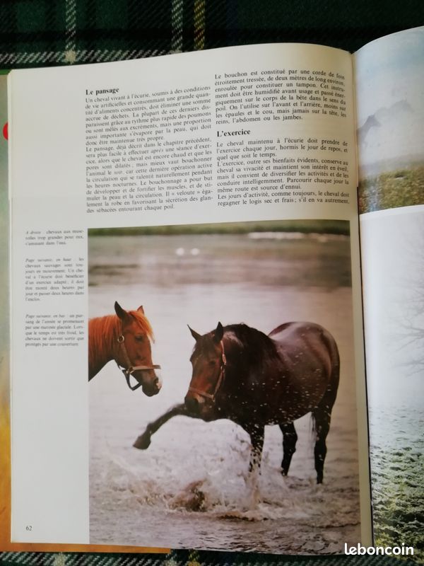 Le monde fascinant des CHEVAUX, livre relié (image 5)
