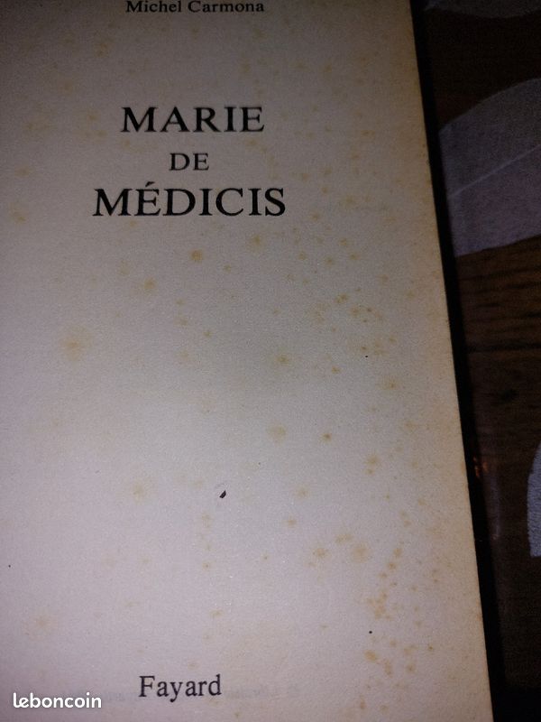 Marie de Medicis (image 2)