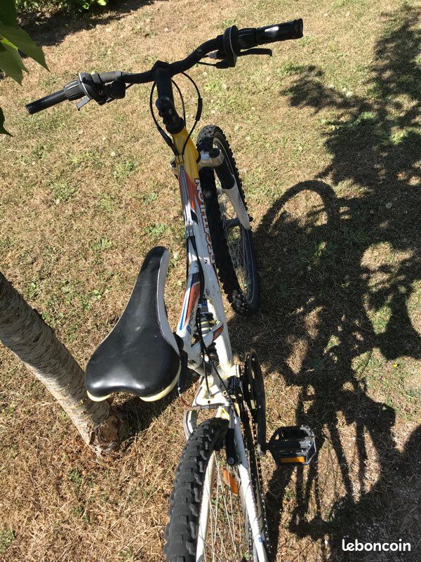Vélo adulte (image 2)
