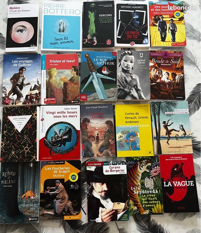 Livre collège "Le silence de la mer et autres récits" (image 4)