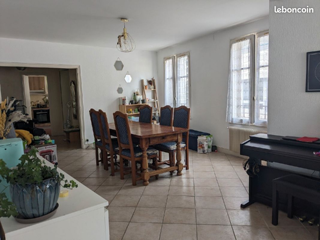 Grand APPARTEMENT - Limoges 87000 Centre-Hôtel de Ville Emailleurs (image principale 0)