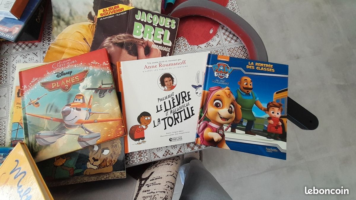 Gros lot de jouets, puzzles, livres, Lego, Barbie, micro karaoké, palmes, bottes de neige, jeux Meccano, valise éléphant : tout doit partir (image 17)