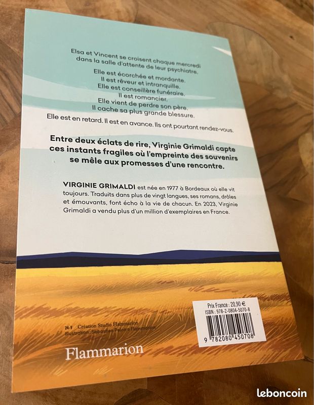Livre Virginie Grimaldi « plus grand que le ciel » (image 2)