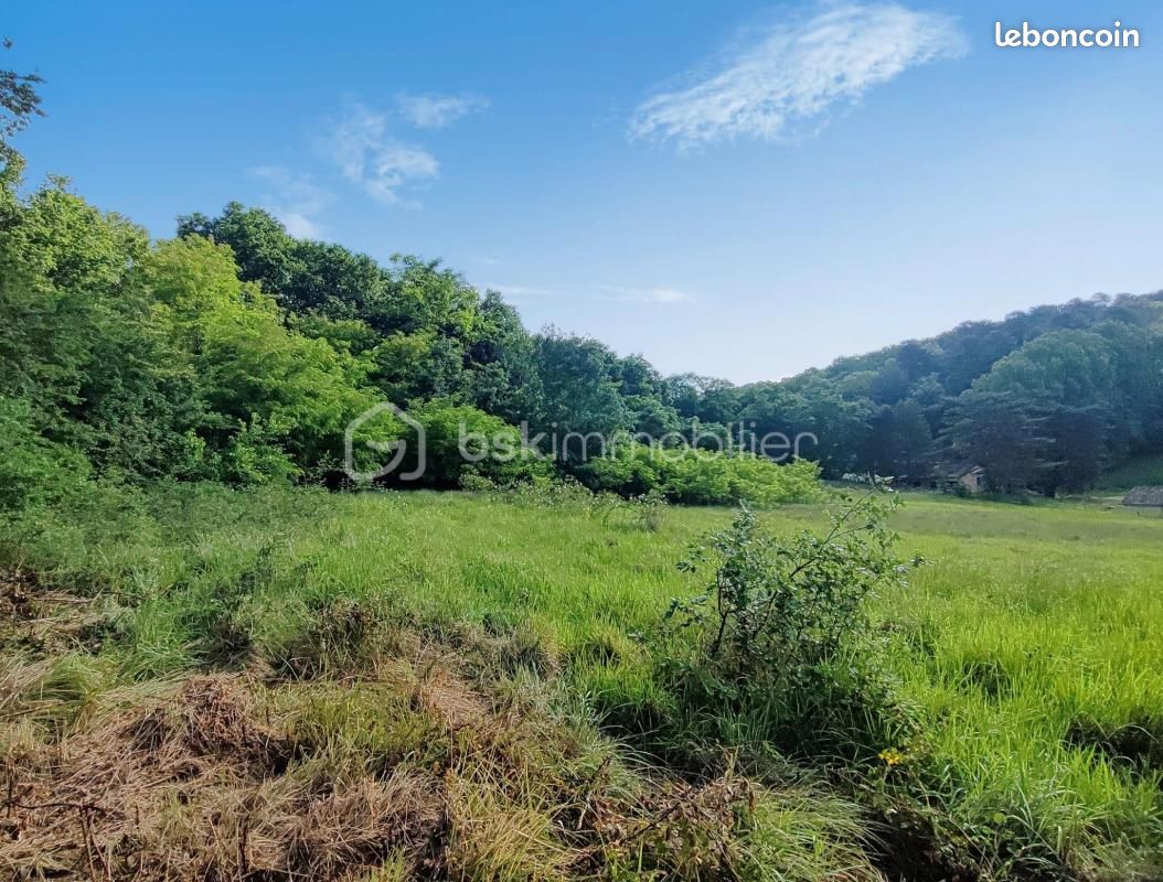 Terrain 9 588 m² Lembras · 65 000 €
