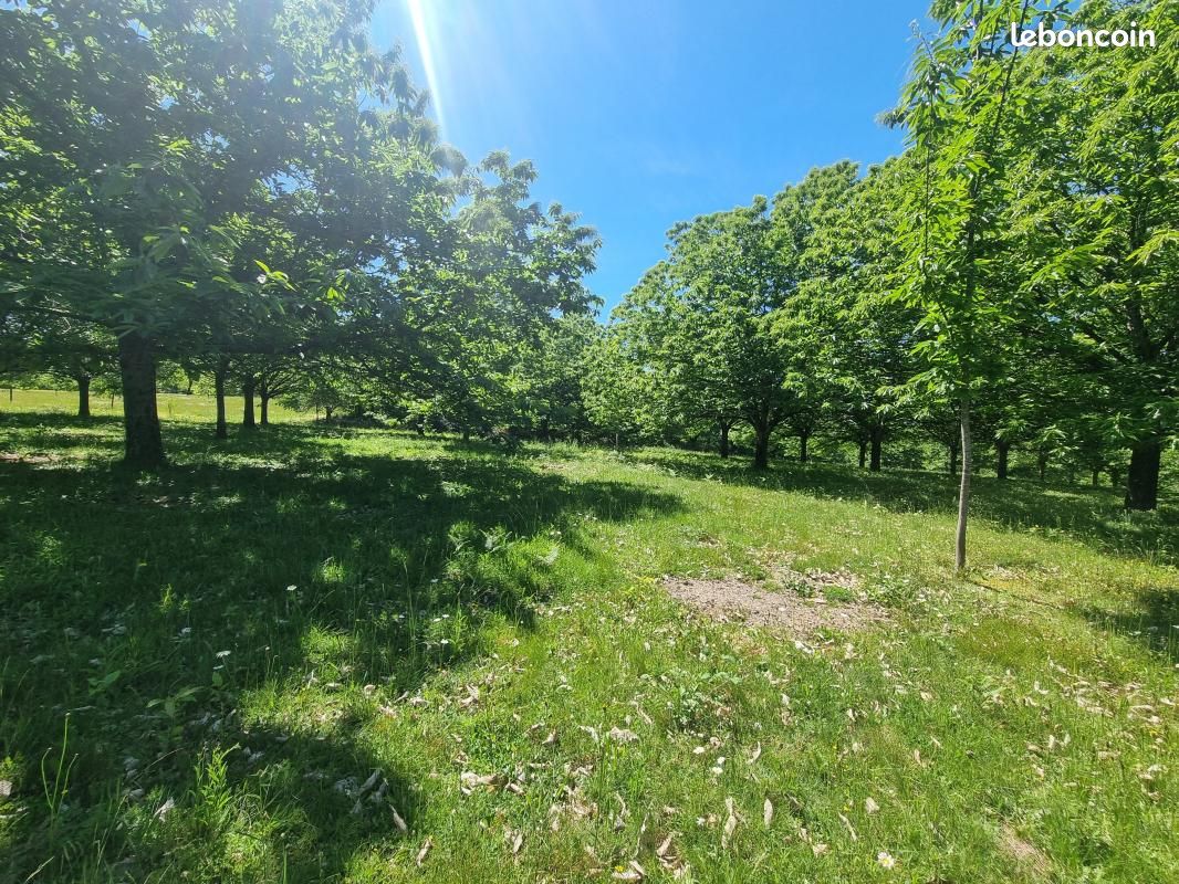 Terrain 4 020 m² Saint Yrieix La Perche (image 2)