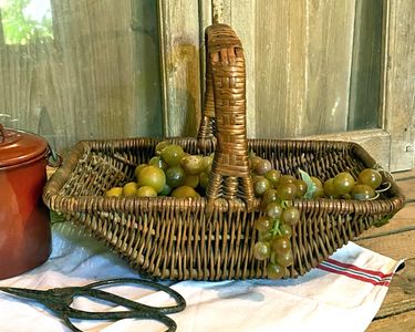 Grand panier oblong. Osier, fond bois. Vers 1950. Disponible sur