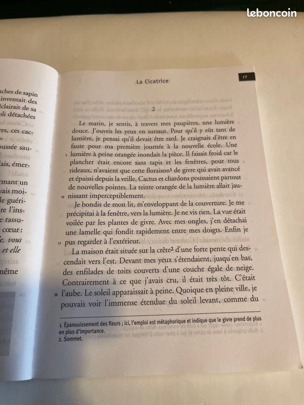 La cicatrice (image 3)