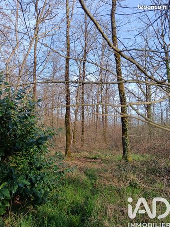 Terrain 24045 m² Sainte-Gemme