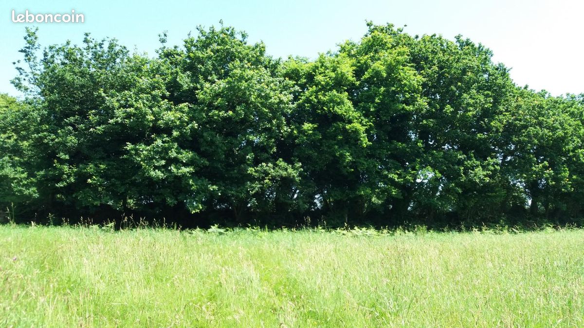 Terrain 934 m² Frehel · à Fréhel · 327 000 €