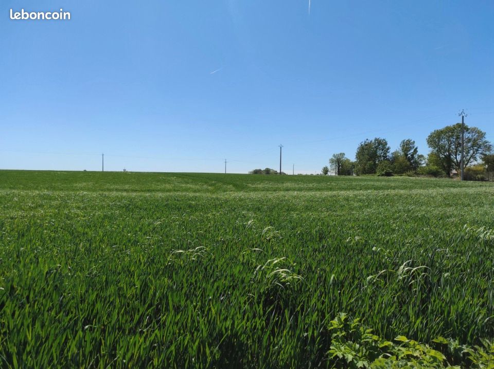 Terrain 800 m² · à Heuqueville · 43 000 €