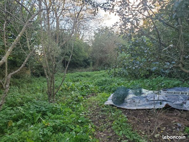 Terrain 561 m² Cherbourg-en-Cotentin