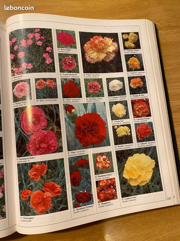 The royal horticultural society gardeners' eincyclopedia plants & flowers (image 3)