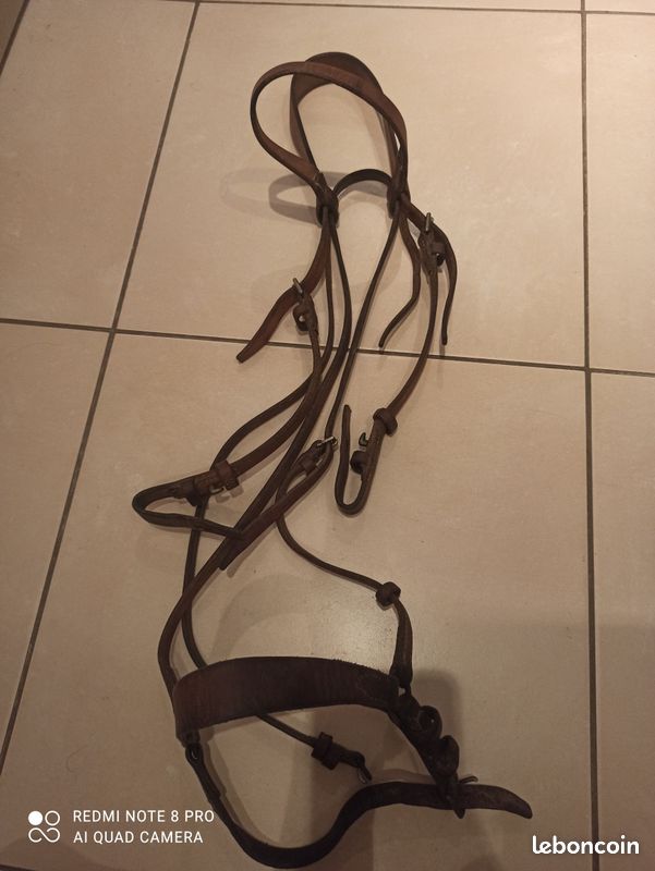 Filet complet sans mors en cuir véritable pour cheval (image 1)