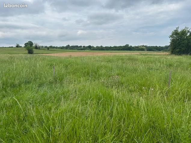Terrain 1715 m² · à Baigneaux · 1 715 m² · 56 100 €