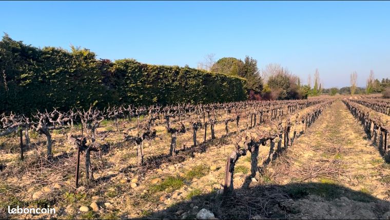 Terrain 700 m² Rochefort Du Gard