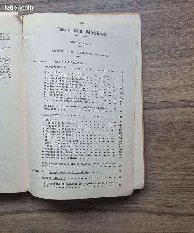 Cours d'hippologie école de Saumur (image 7)