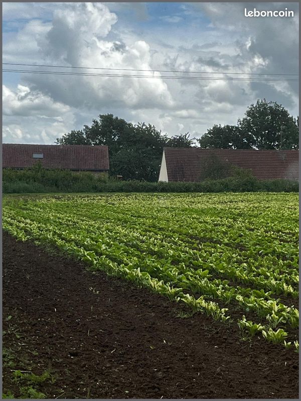 Terrain 933 m² · à Montrécourt · 933 m² · 91 000 €