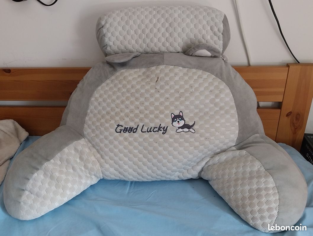 Coussin dossier de lecture au lit (image 2)
