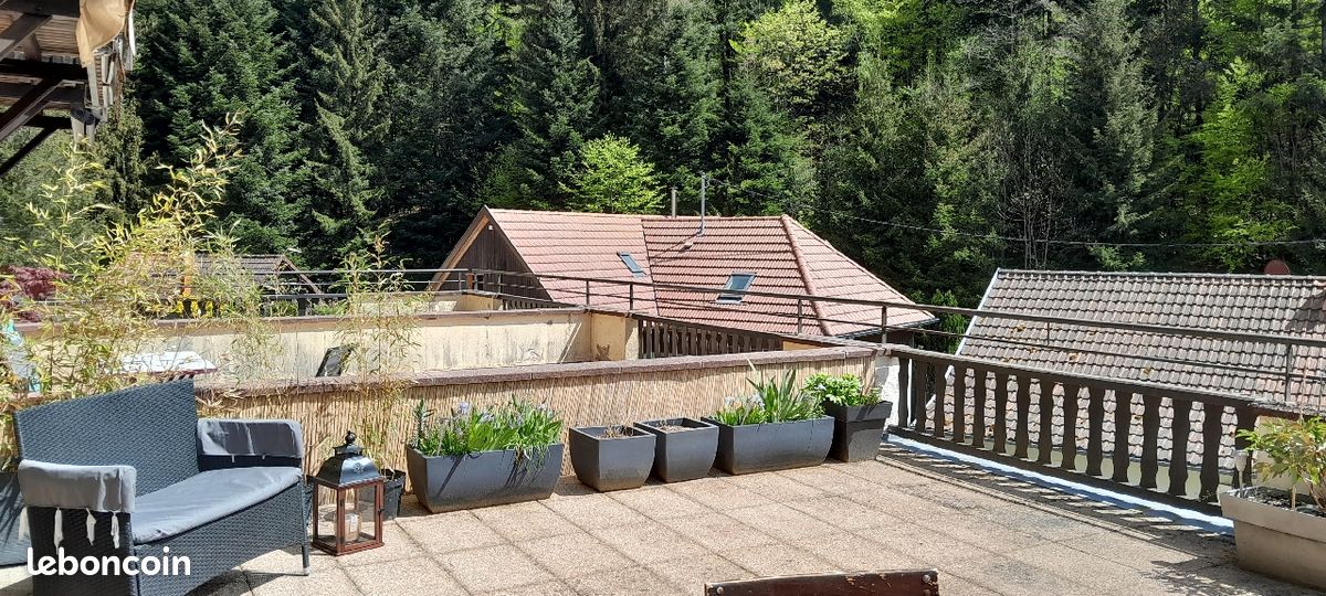 Gîte grande terrasse plein sud - animaux acceptés (image 3)
