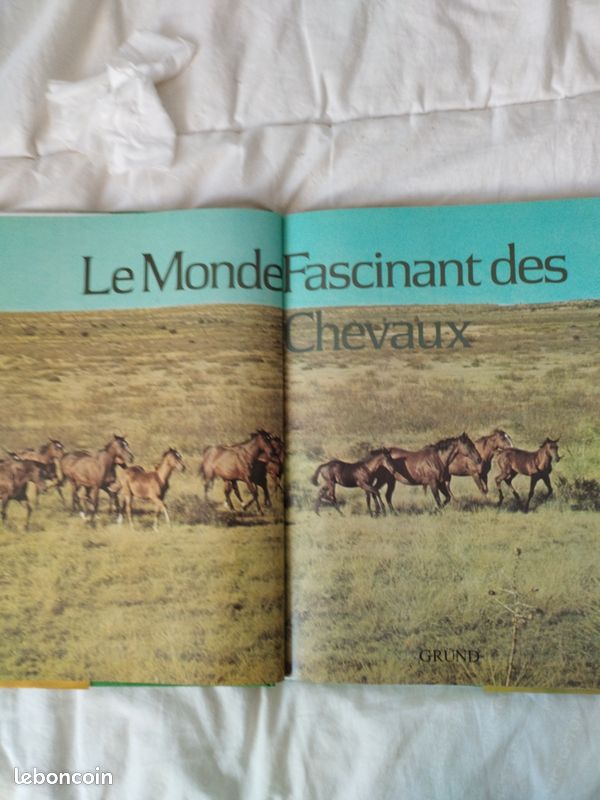 Le monde fascinant des chevaux (image 6)