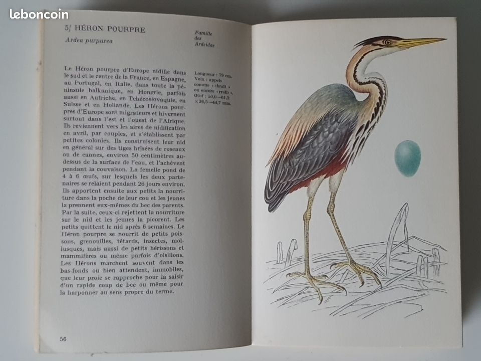 Les oiseaux aquatiques - JIRI Félix - 1975 MARABOUT (image 2)