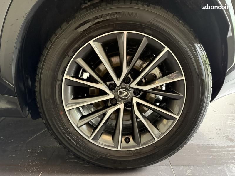 Lexus NX 350h Luxe 2WD MY24 (image 22)