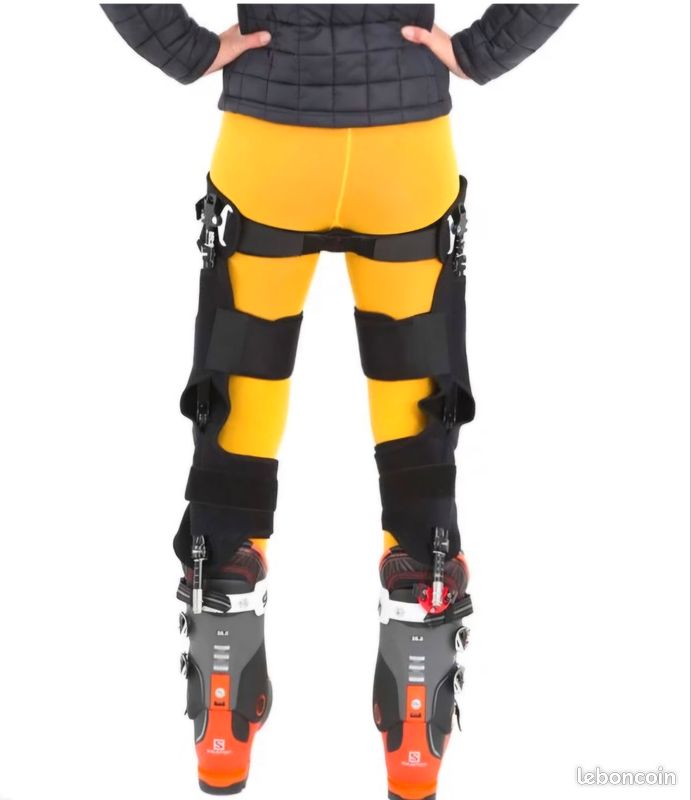 Ski-Mojo Gold (image 2)