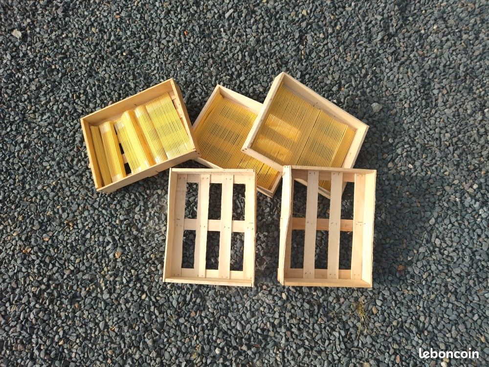 Cagettes (image 3)