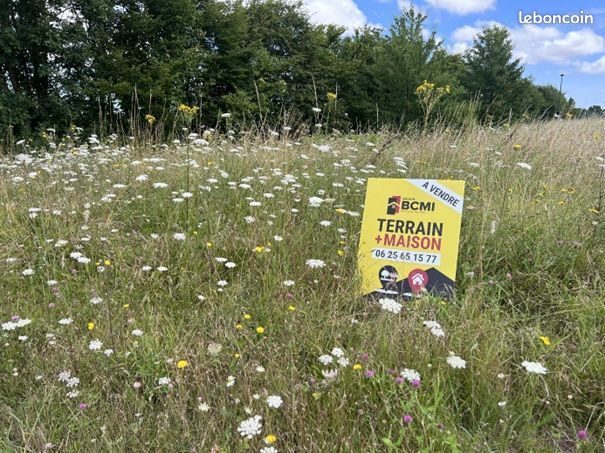 Terrain à bâtir de 1250 m2 au prix de 16000 à VILLEFAGNAN (16) · 16 000 €