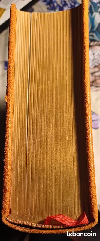 Encyclopédie du cheval (image 3)