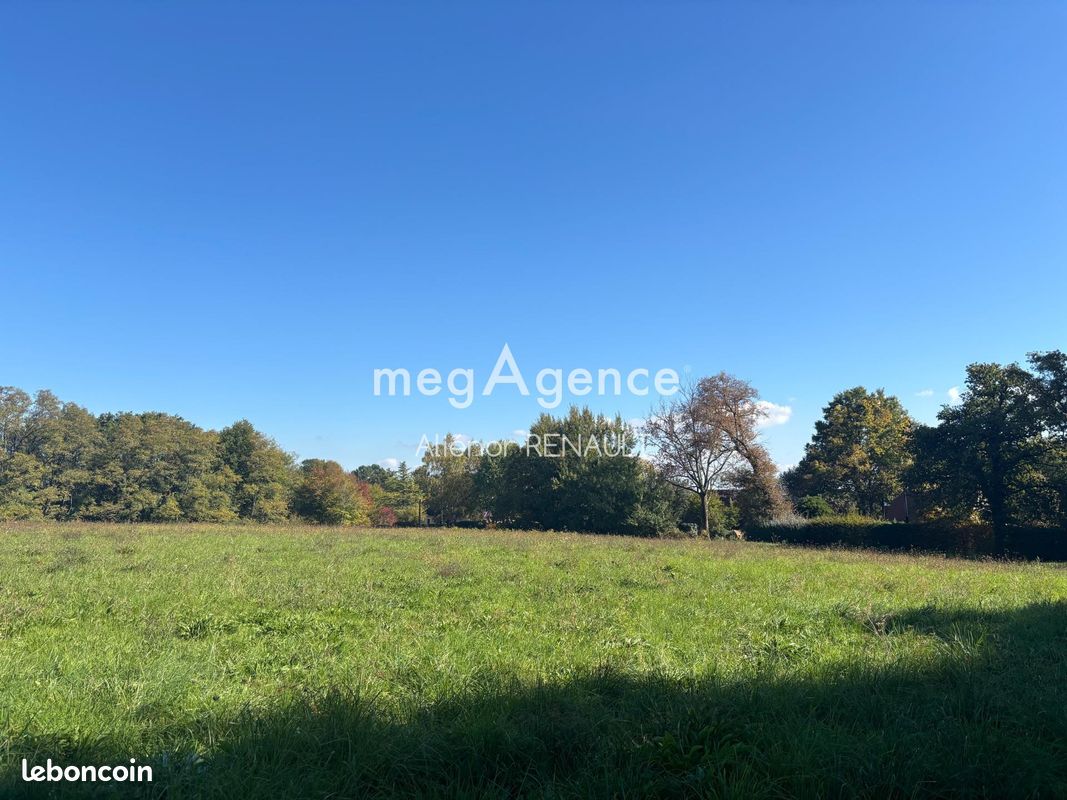 Terrain 24541 m² SAINT-LEON-SUR-VEZERE (image 2)