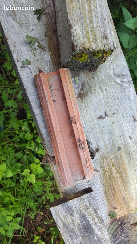Brique de parement ou autre (image 3)