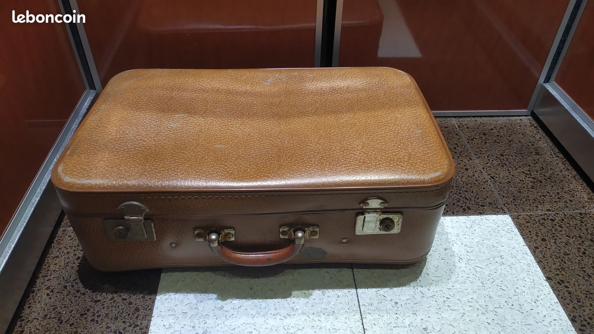 Petite Valise vintage (image 1)