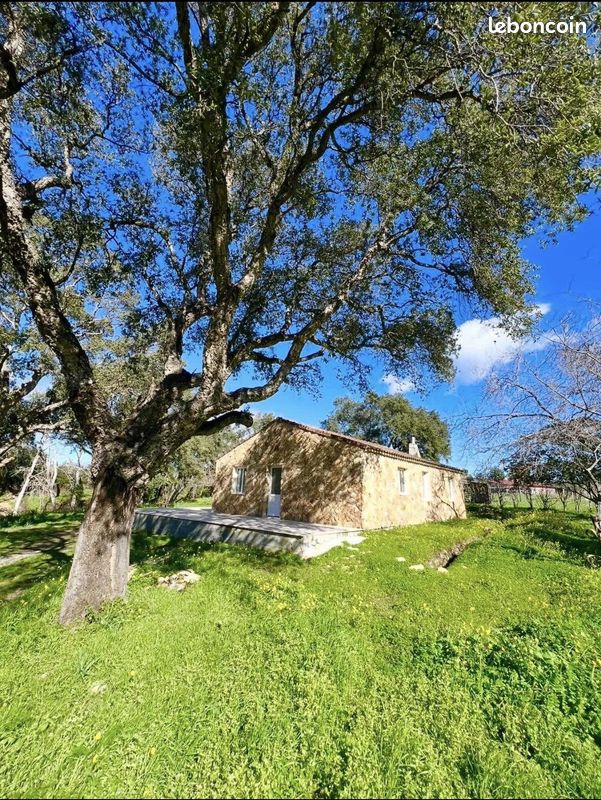 Maison 4 pièces 82 m² · à Aléria · 82 m² · 365 000 €