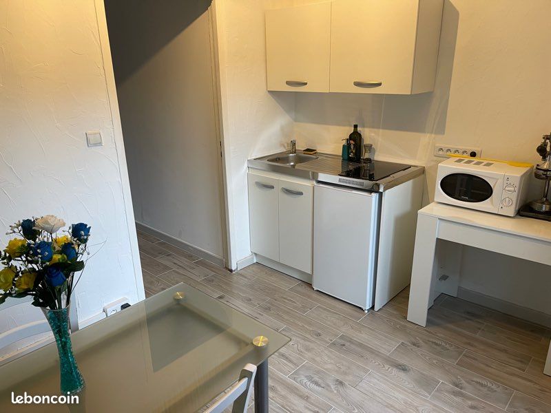 Maisonnette T2 avec jardin jacuzzi et piscine (image 2)