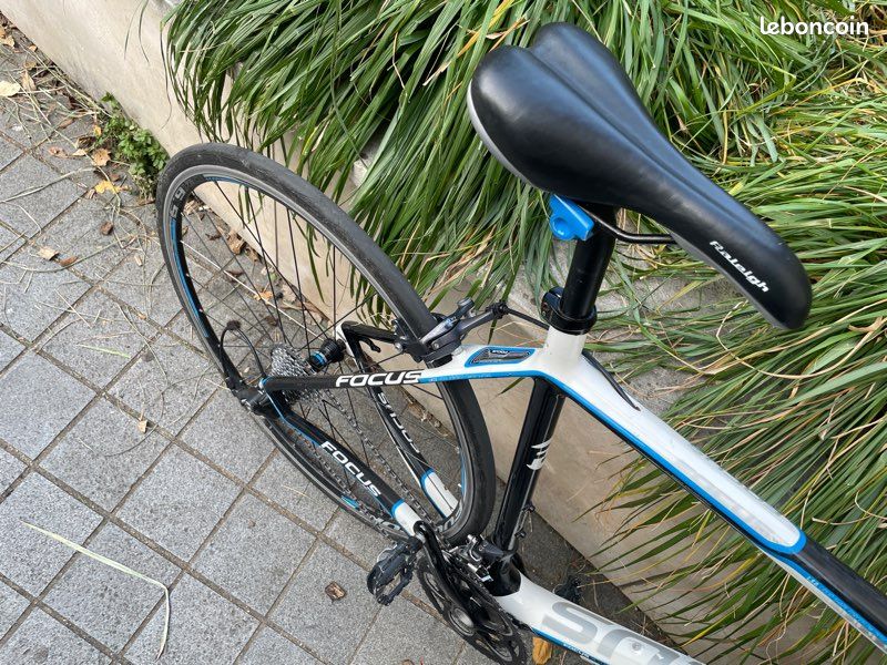 Vélo de route carbone - Focus Cayo evo (image 3)
