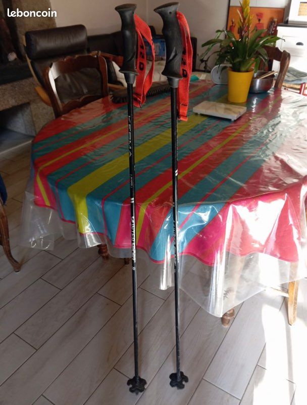 Bâtons de ski (image 2)