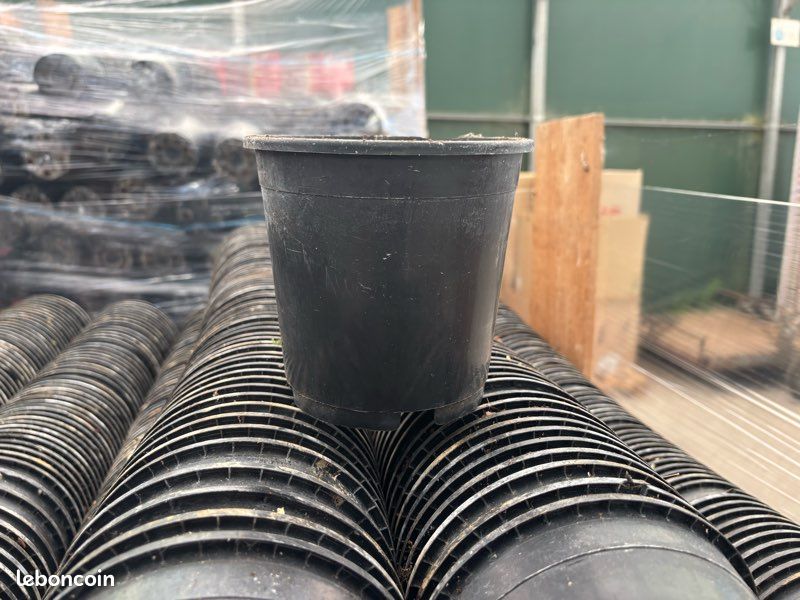 Pot (image 1)