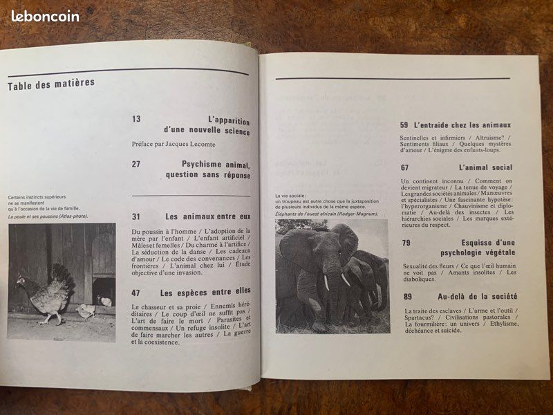 La pensée non humaine - encyclopédie planète (image 3)