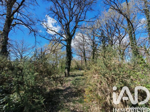Terrain 1830 m² Esvres