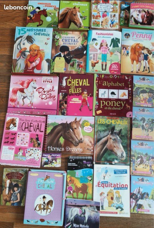 Lot De 4 Dossiers équestres Caroline - Pochettes Classeur LIRE - Chevaux - NEUF