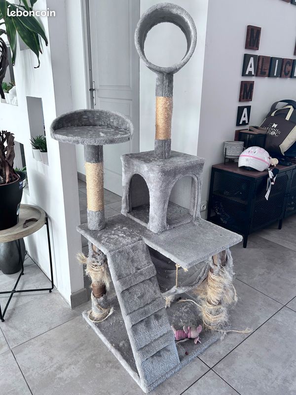 Arbre chat (image 1)