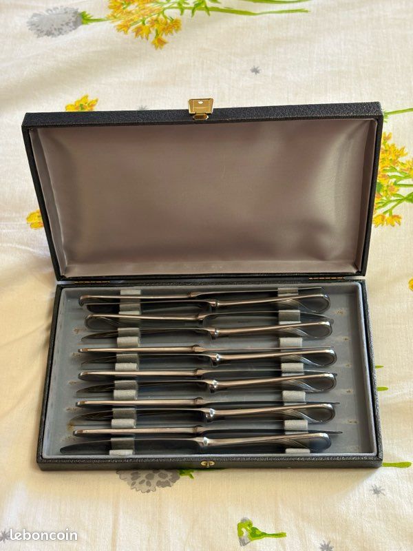 ANCIEN COFFRET DE 12 Couteaux De Table Miot A Langres EUR 48,00 - FR