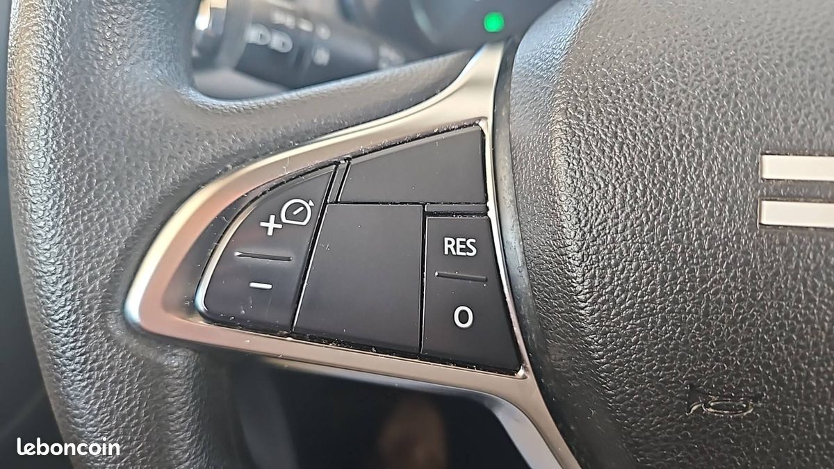 Dacia spring expression (image 25)