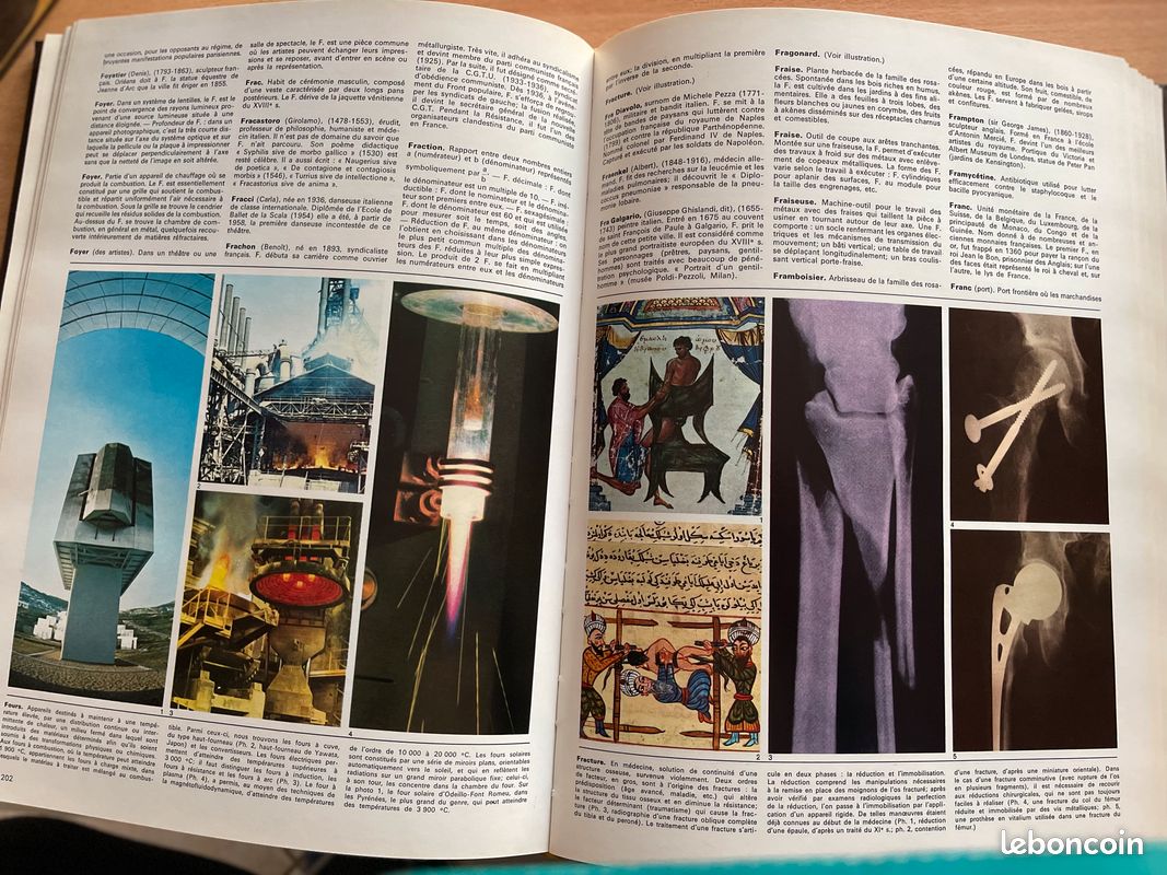 Colorama (image 6)