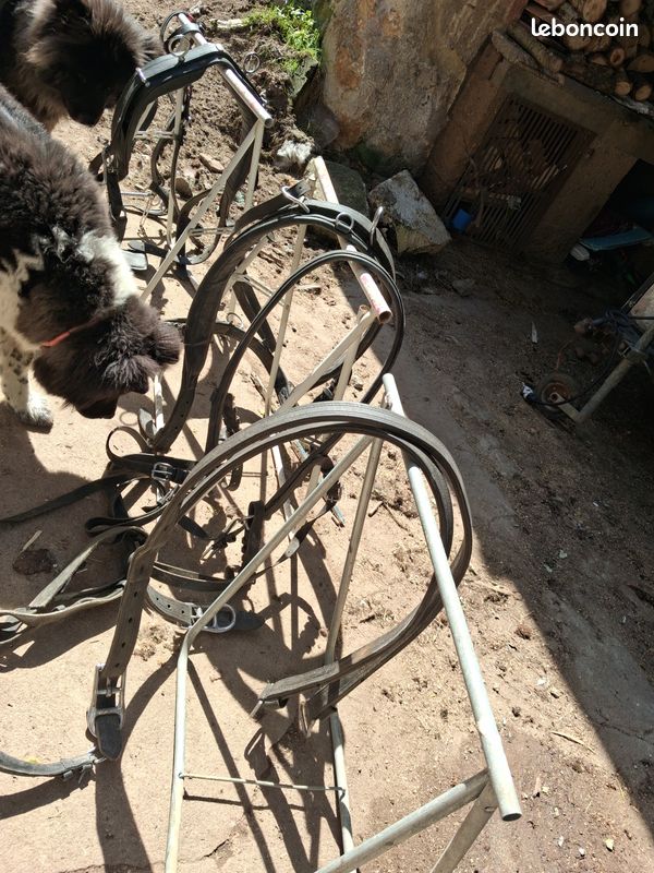 Char attelage pour 1 à 4 chevaux (D'occasion) à Torgon pour CHF 550