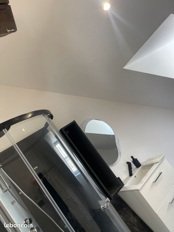 Magnifique t2 centre ville meuble - Limoges 87000 (image principale 1)